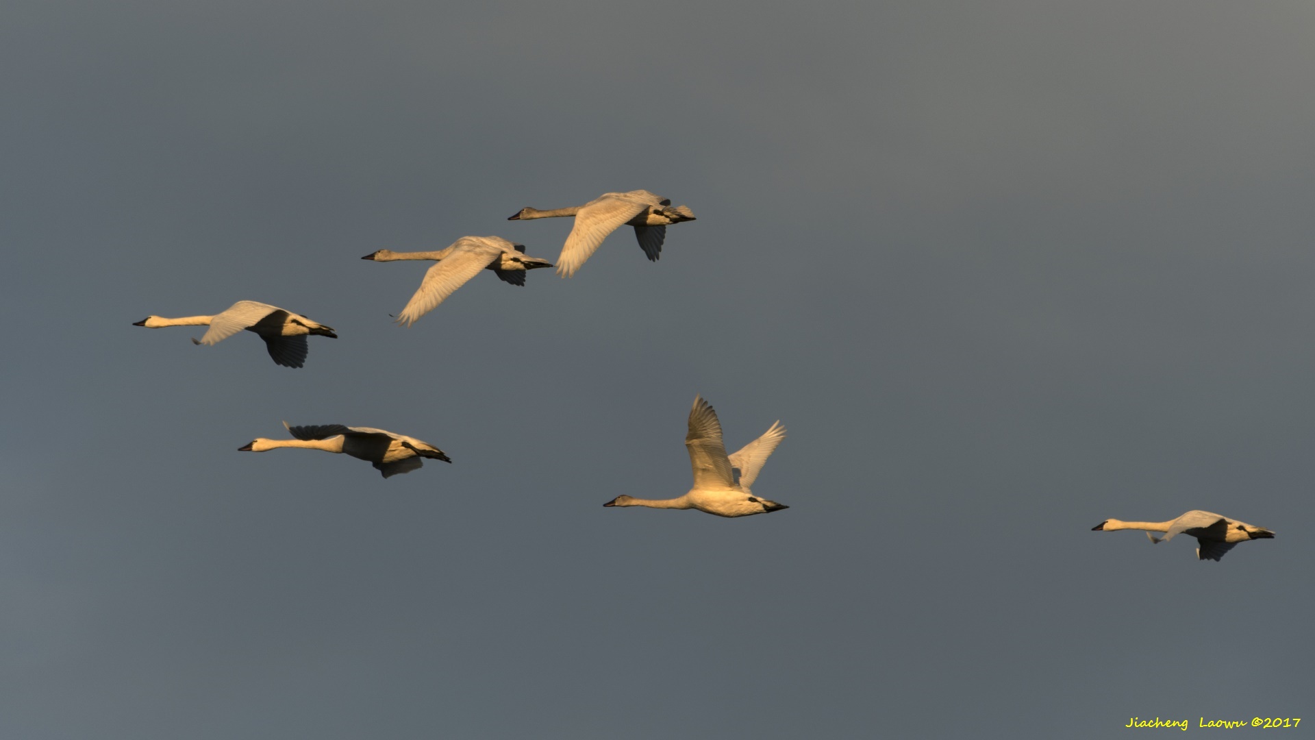 D500_4326.jpg