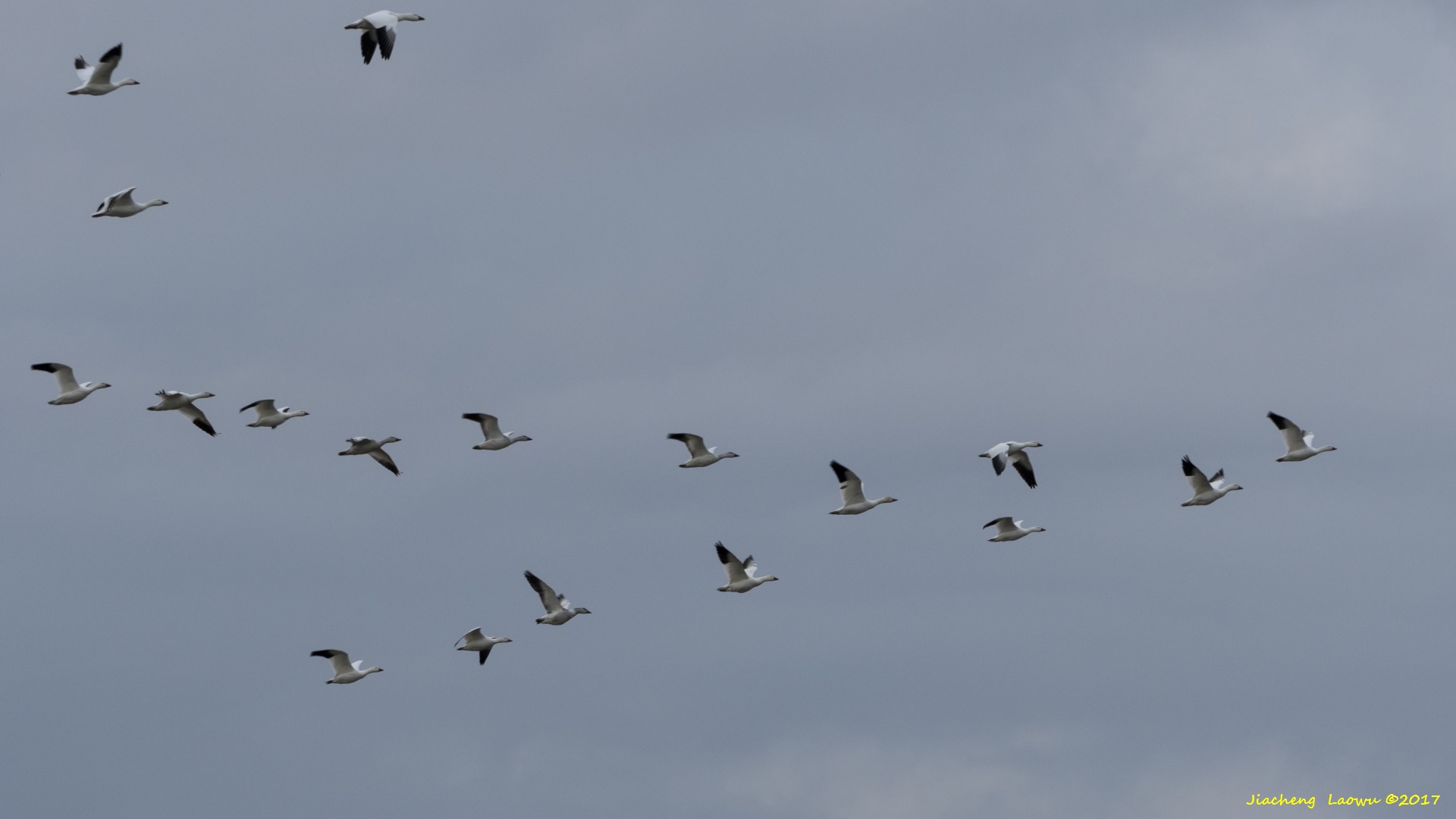 D500_4622.jpg
