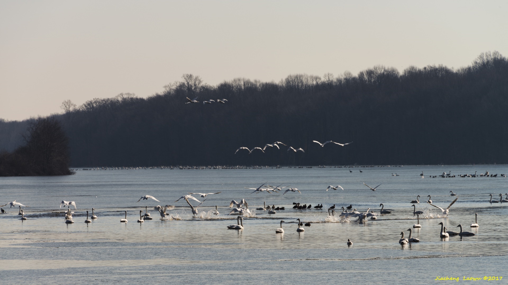 DSC_0501.jpg