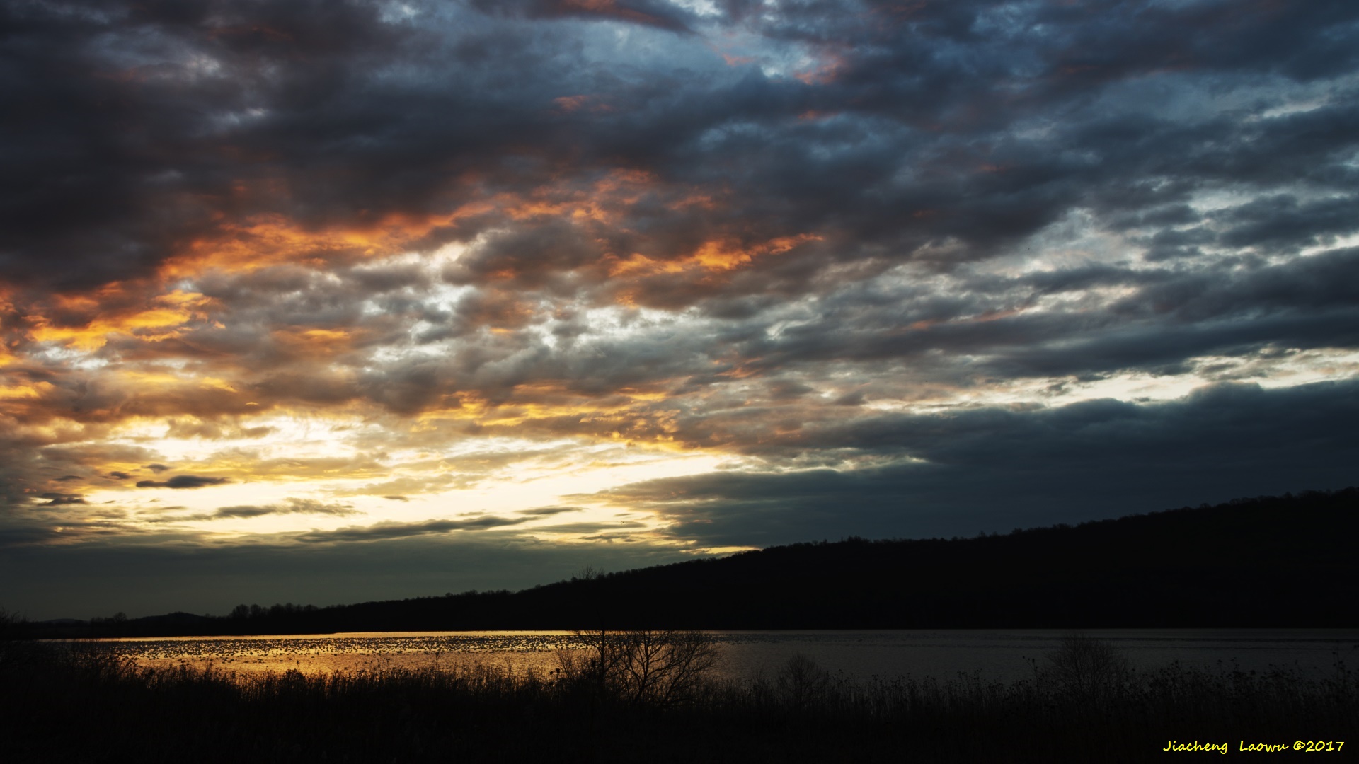 DSC_0841.jpg
